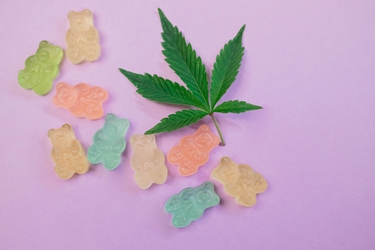 Certified Cannabis Edibles Professional 